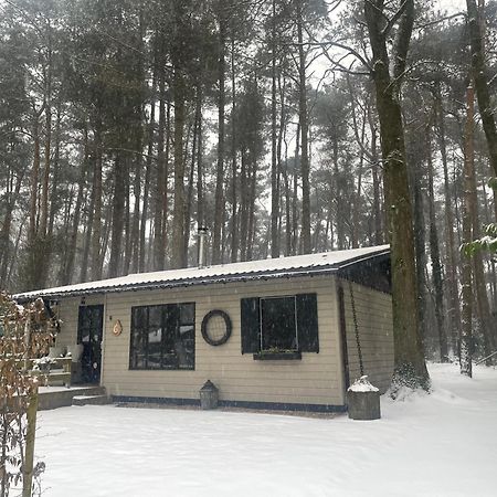 זוטנדאל Chalet Sint מראה חיצוני תמונה